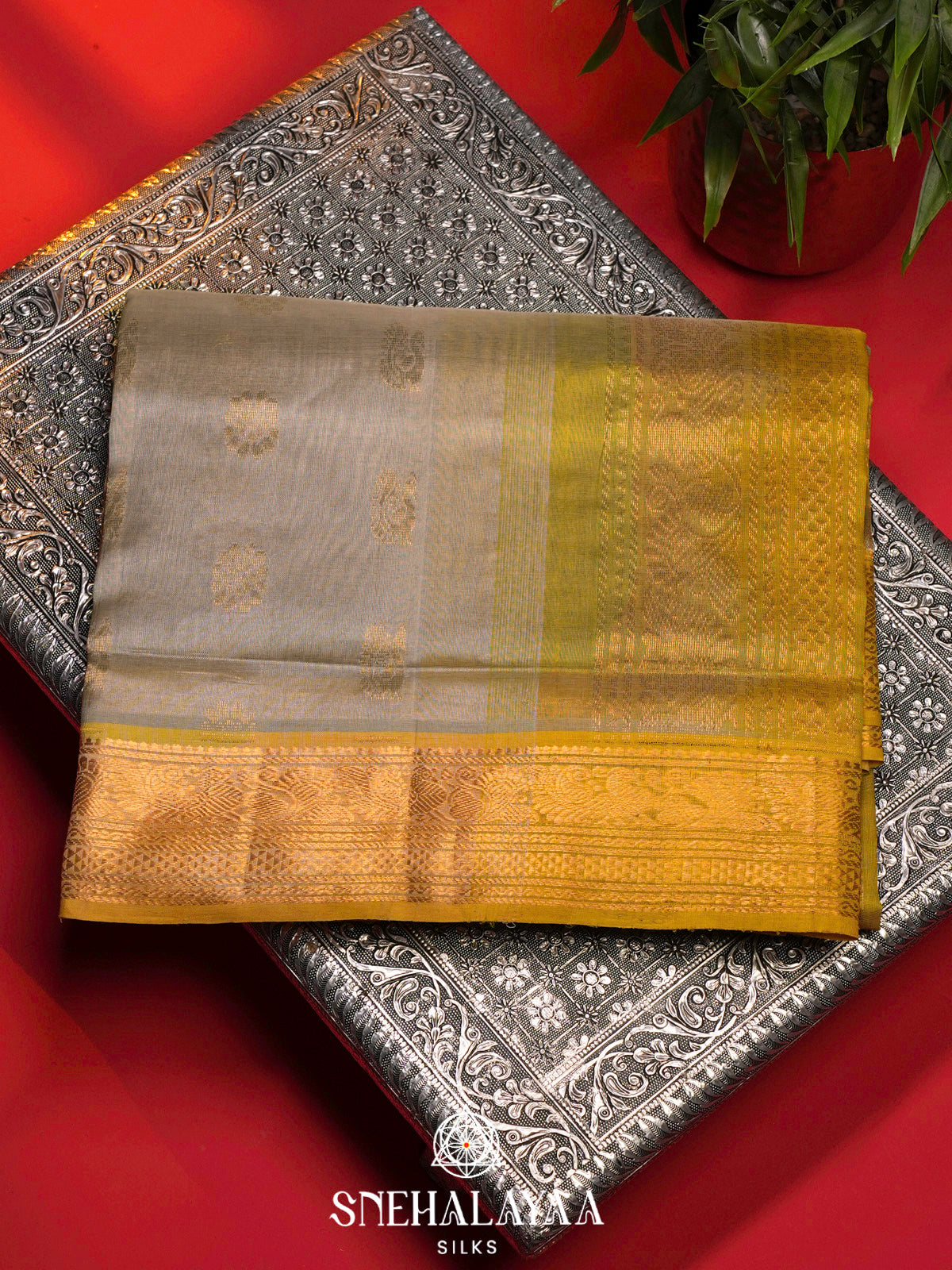 Beige Kanchi Silk Cotton Saree