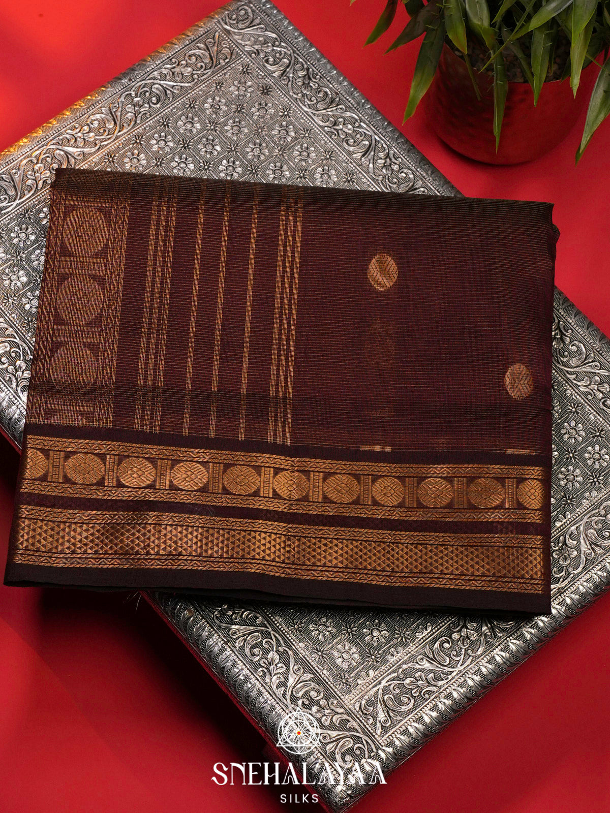 Coffee Brown Kanchi Silk Cotton Saree
