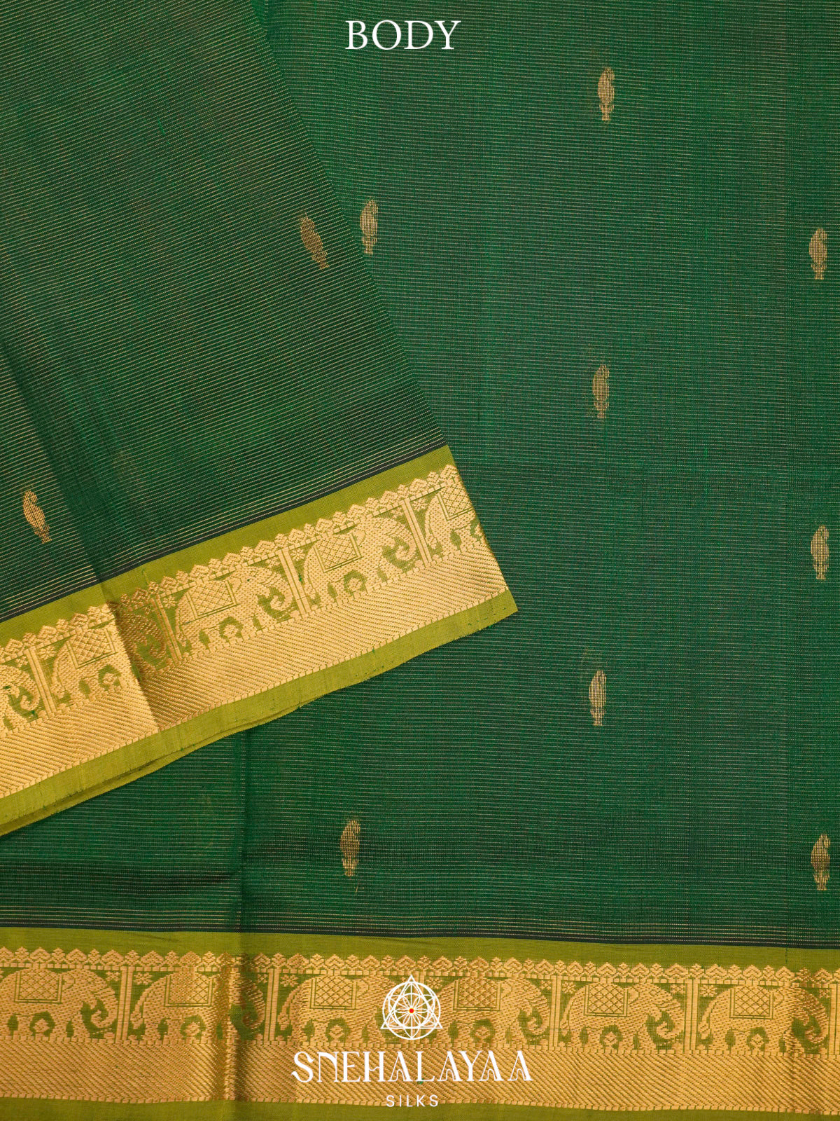 Emerald Green Kanchi Silk Cotton Saree