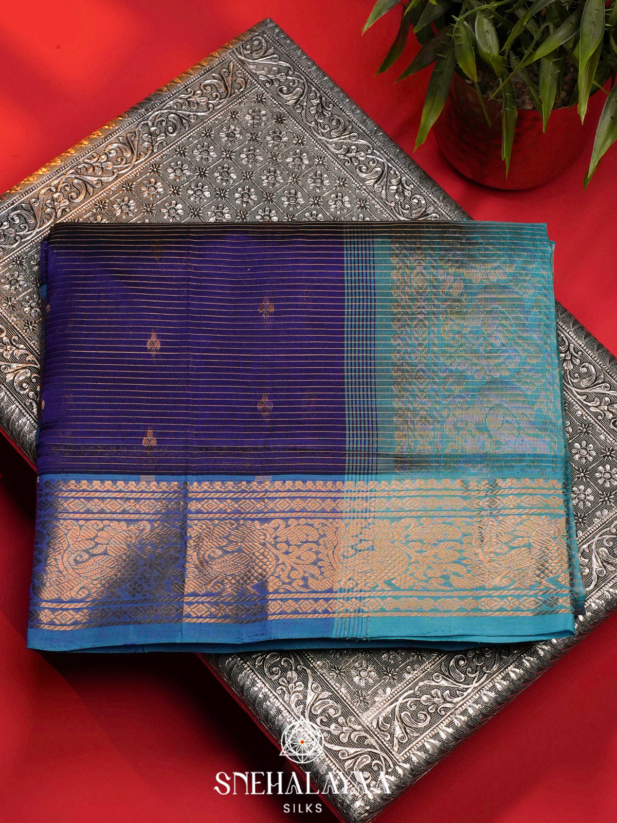 Purple Kanchi Silk Cotton Saree