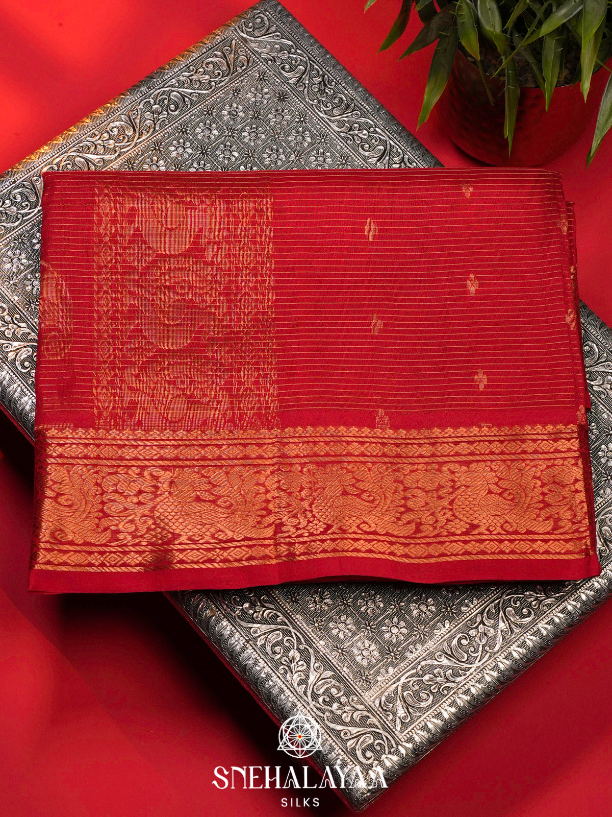 Orange Kanchi Silk Cotton Saree