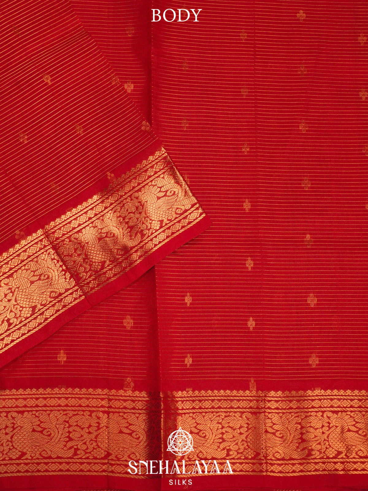 Orange Kanchi Silk Cotton Saree