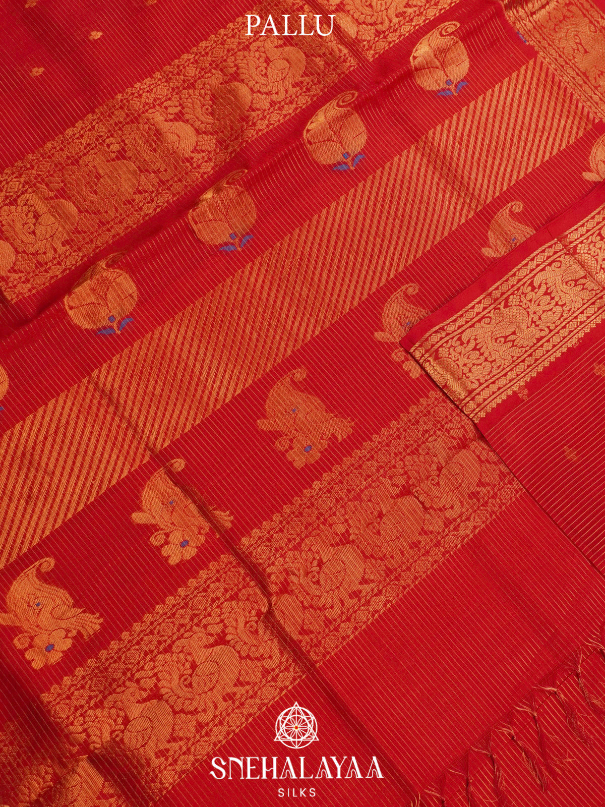 Orange Kanchi Silk Cotton Saree