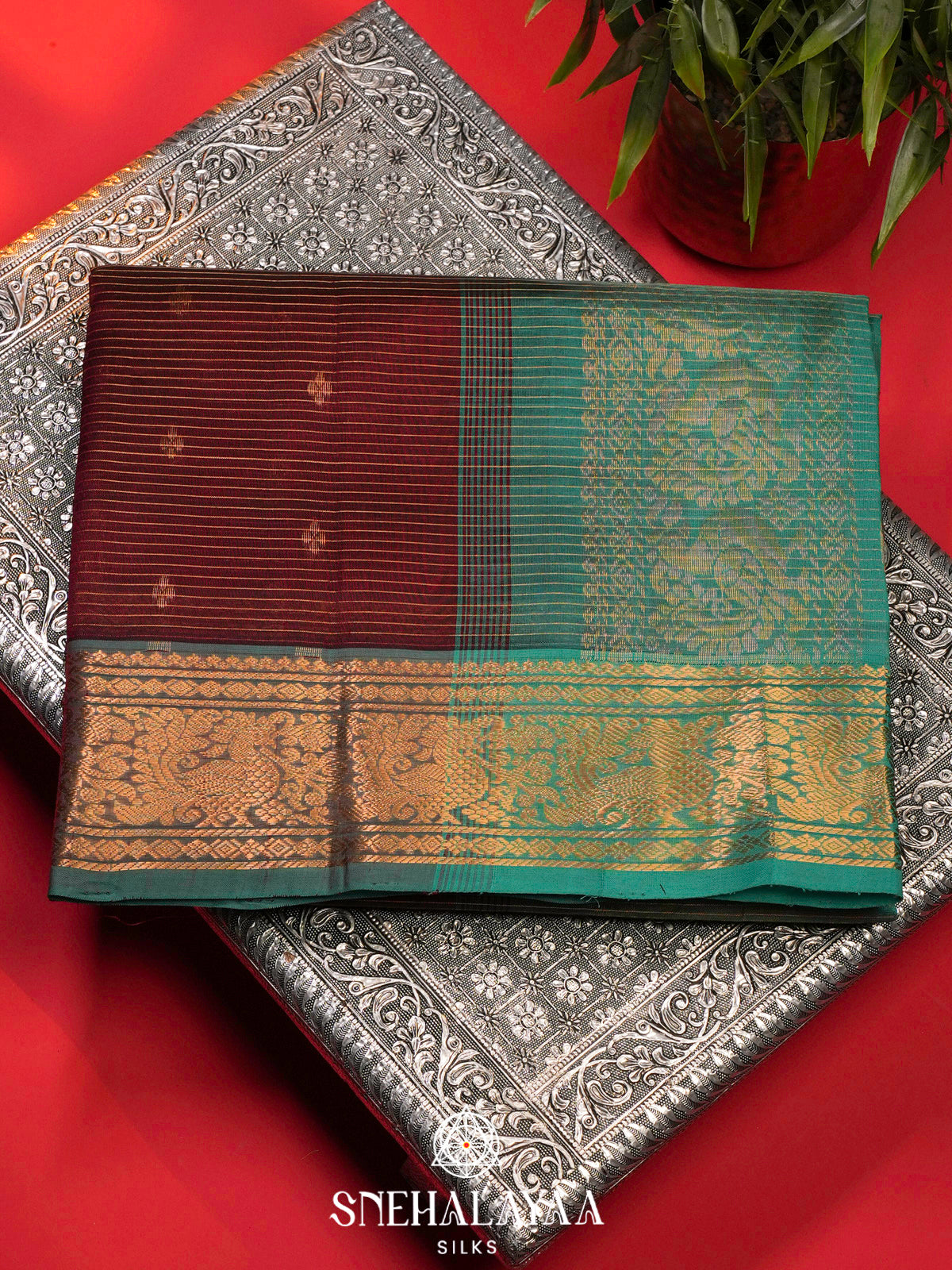 Brown Kanchi Silk Cotton Saree
