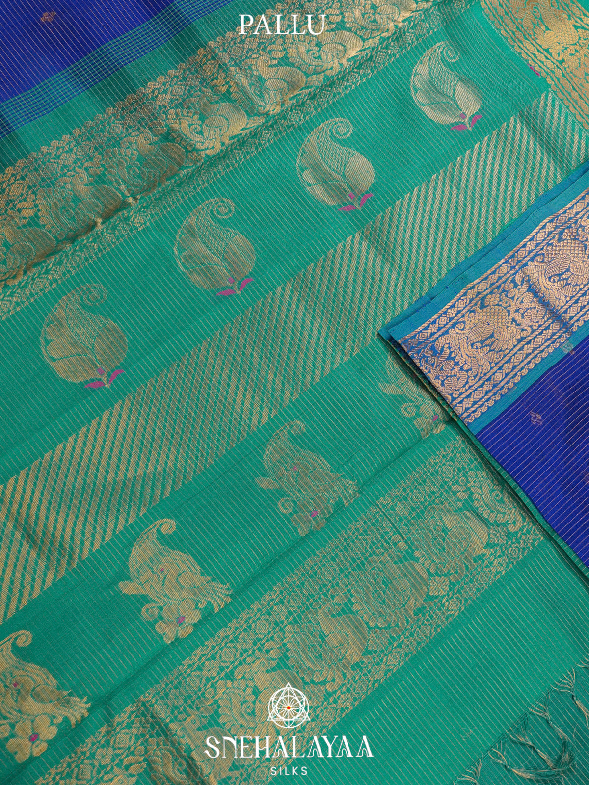 Navy Blue Kanchi Silk Cotton Saree