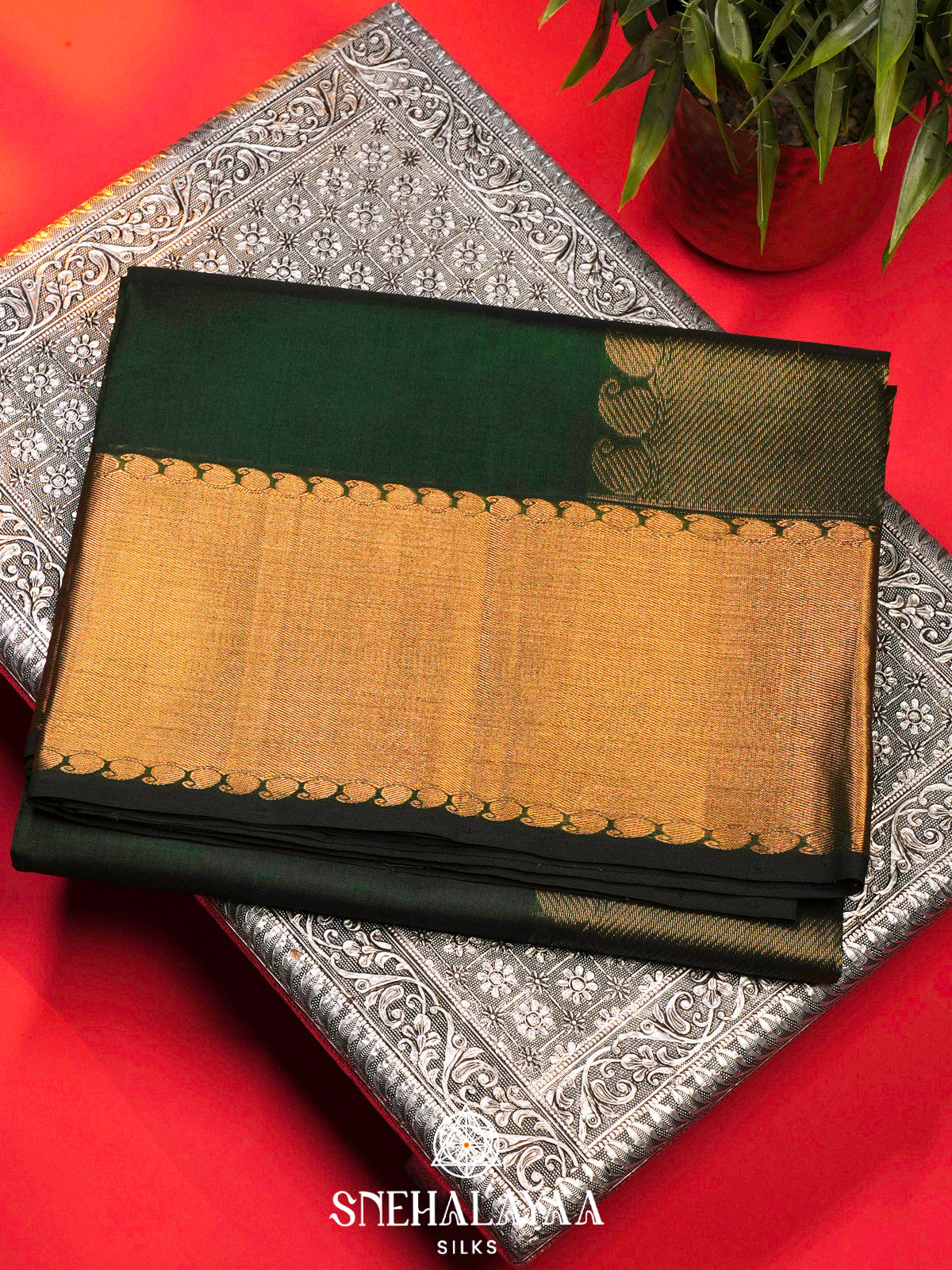 Forest Green Kanchi Silk Cotton Saree