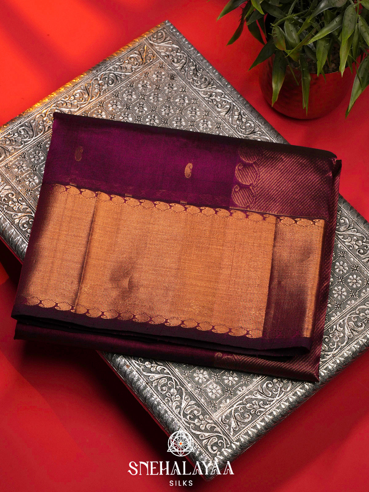 Wine Kanchi Silk Cotton Saree