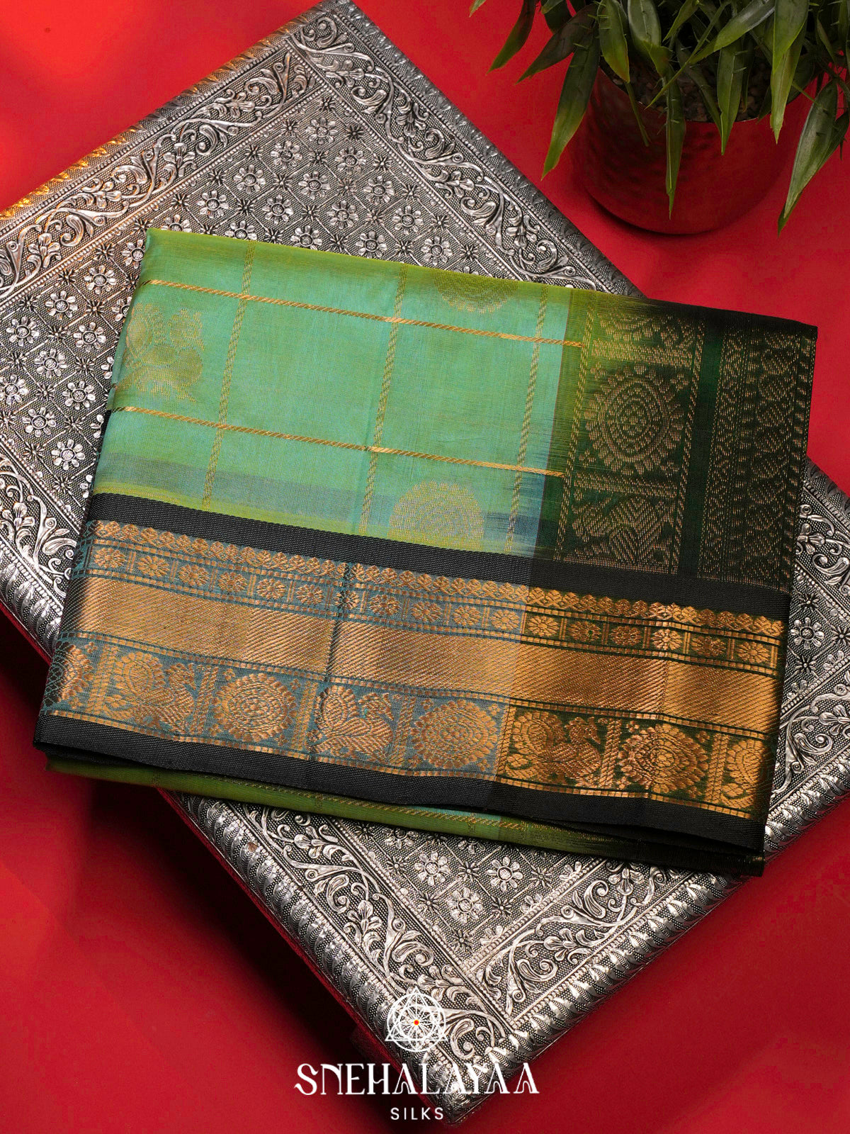 Pastel Green Kanchi Silk Cotton Saree