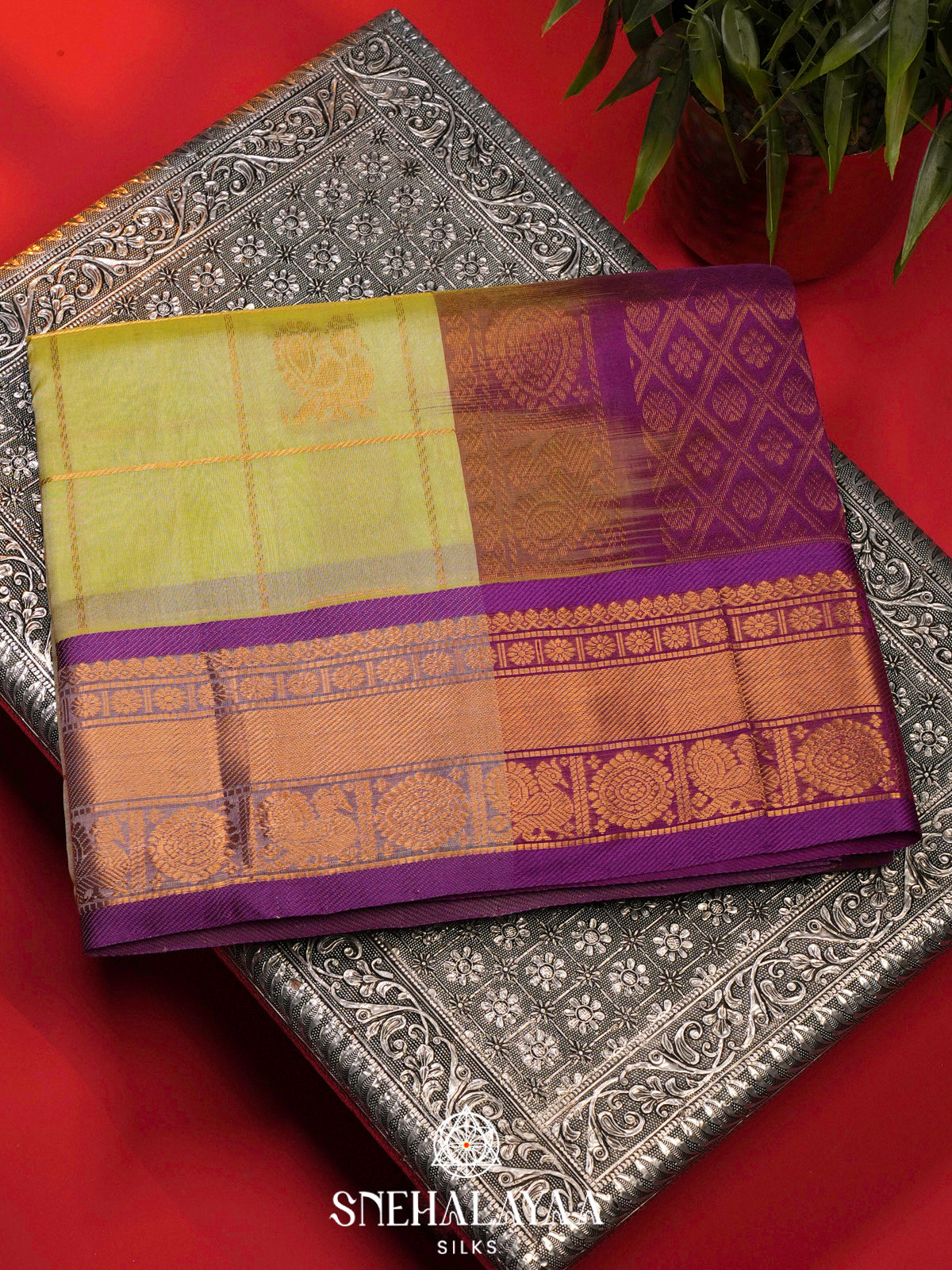 Pista Green Kanchi Silk Cotton Saree