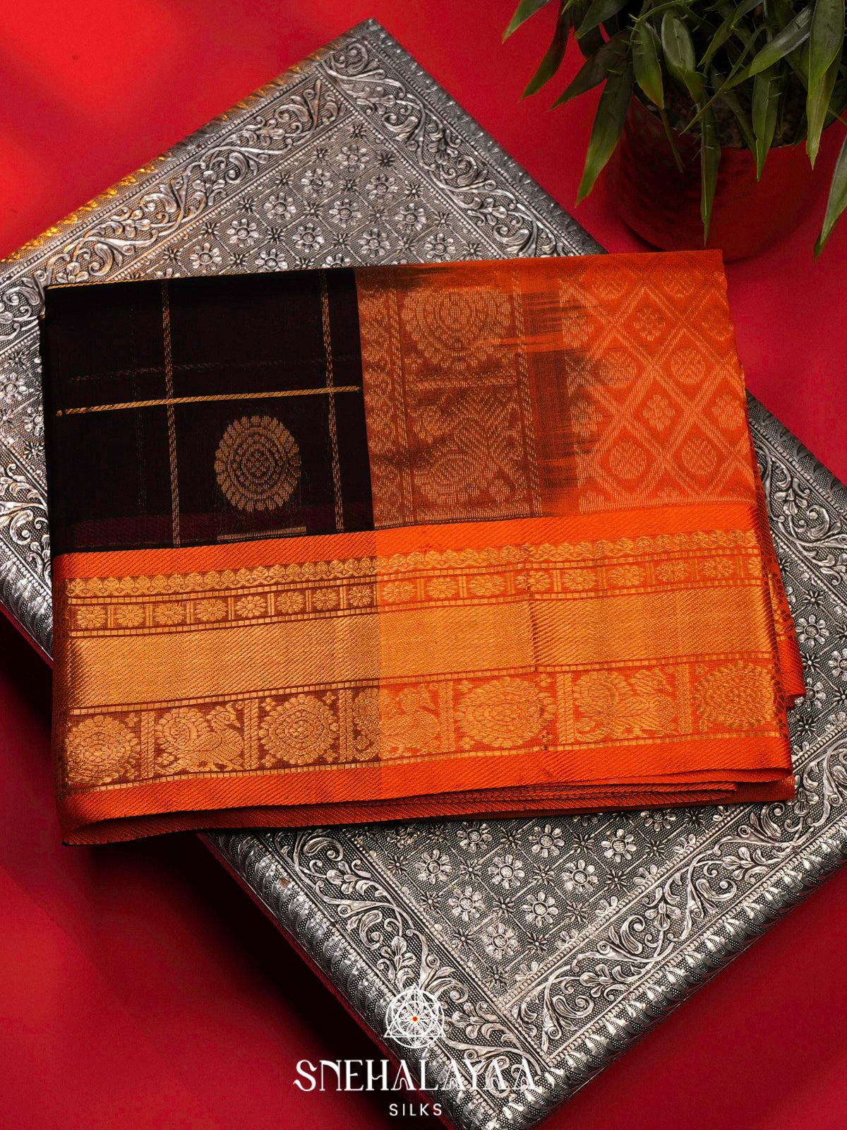 Coffee Brown Kanchi Silk Cotton Saree