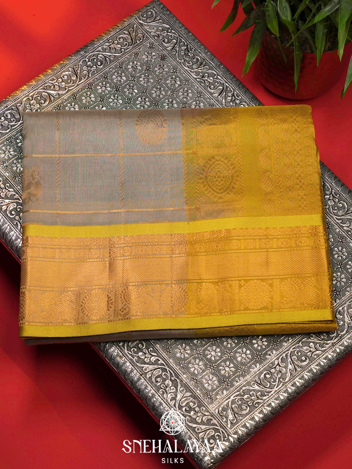 Beige Kanchi Silk Cotton Saree
