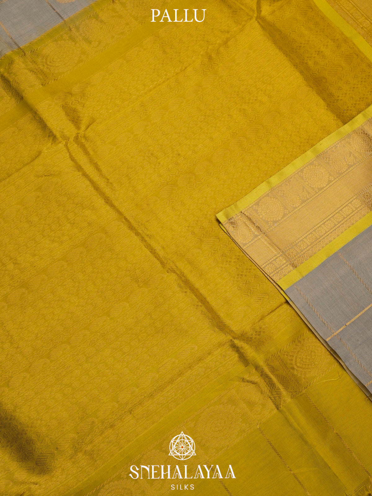 Beige Kanchi Silk Cotton Saree