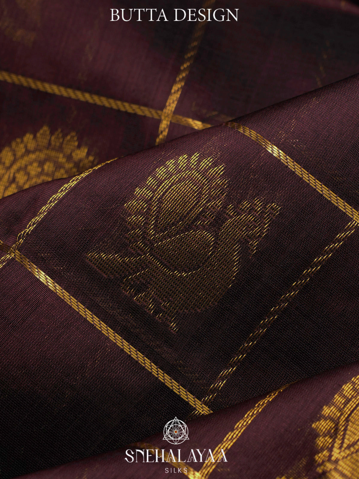 Coffee Brown Kanchi Silk Cotton Saree