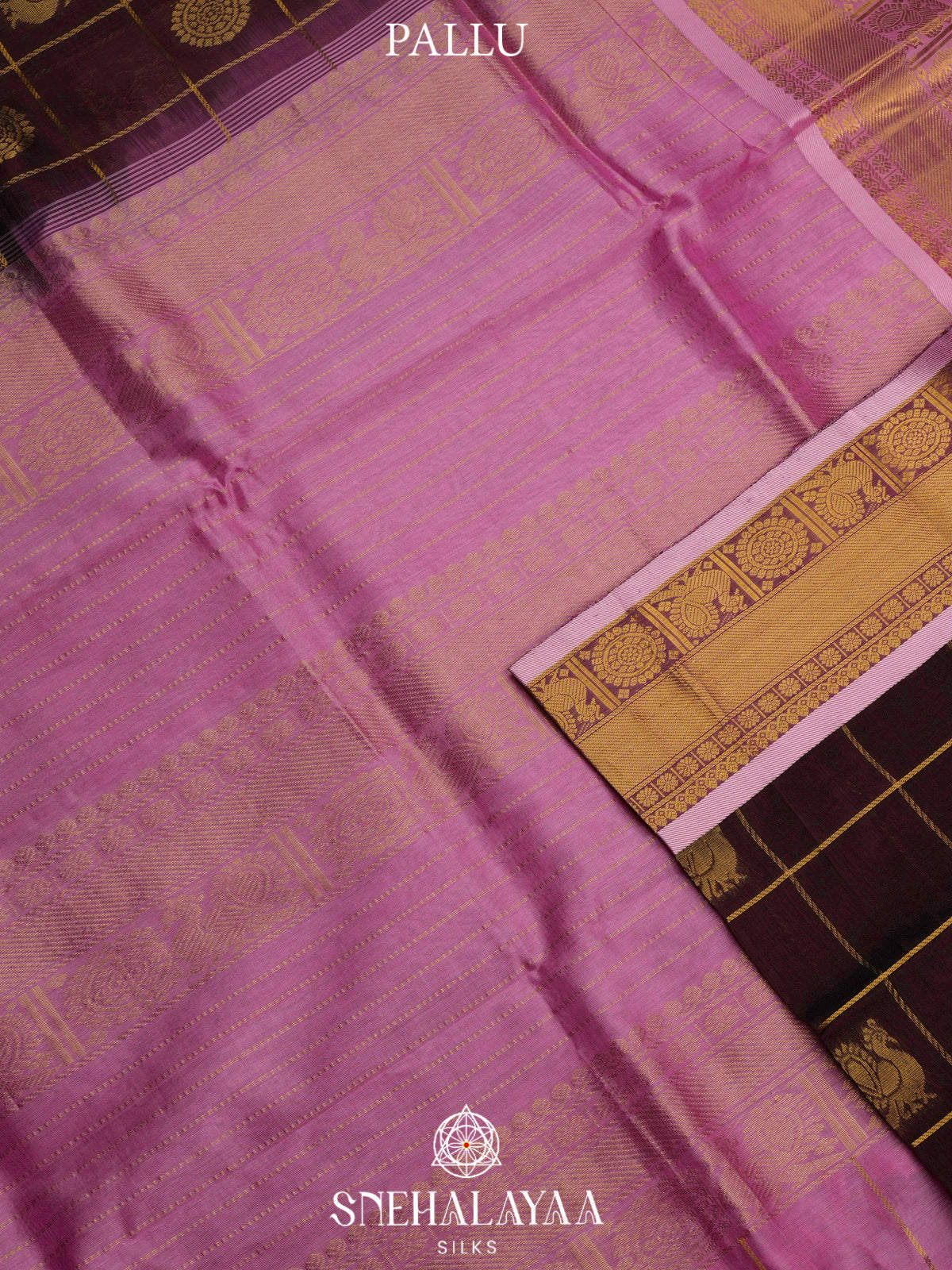 Coffee Brown Kanchi Silk Cotton Saree