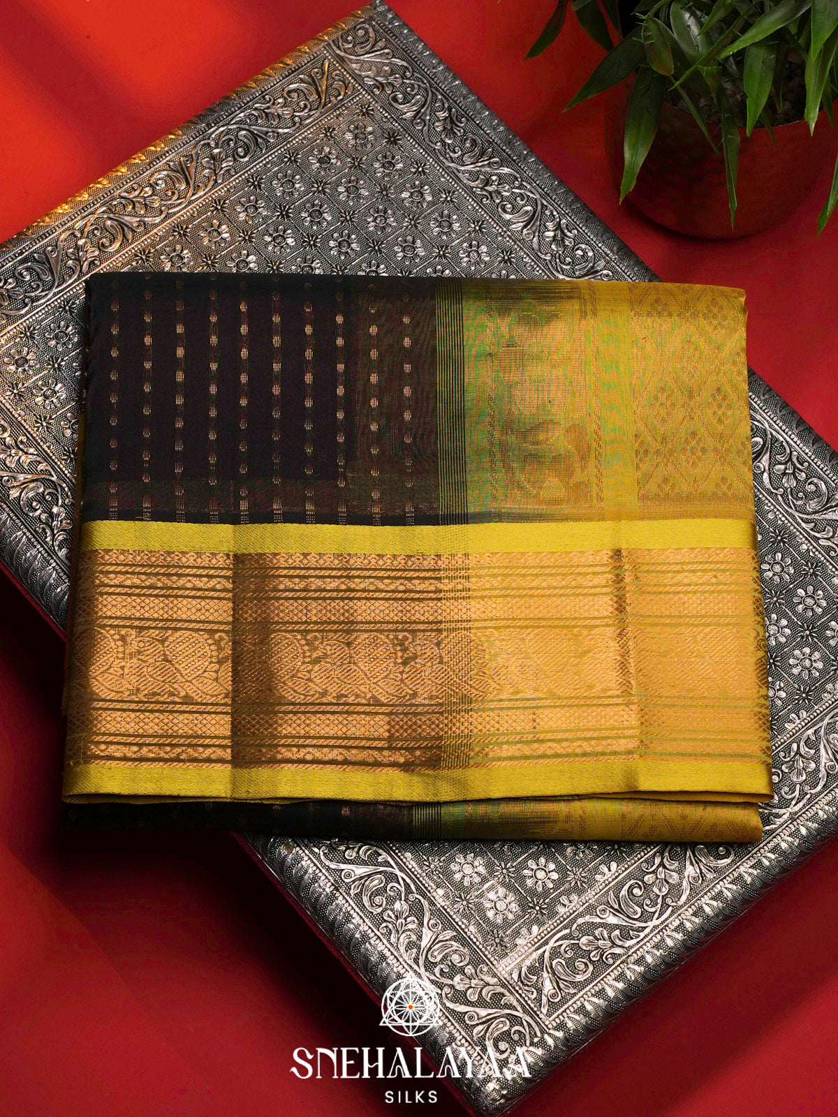 Coffee Brown Kanchi Silk Cotton Saree