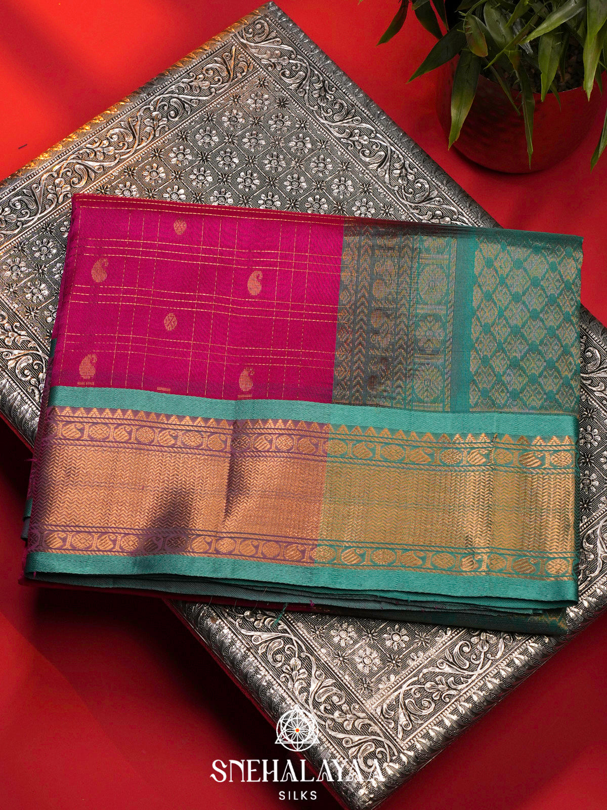 Pink Kanchi Silk Cotton Saree