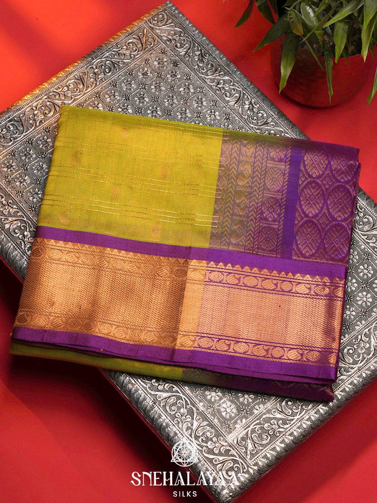 Lime Green Kanchi Silk Cotton Saree