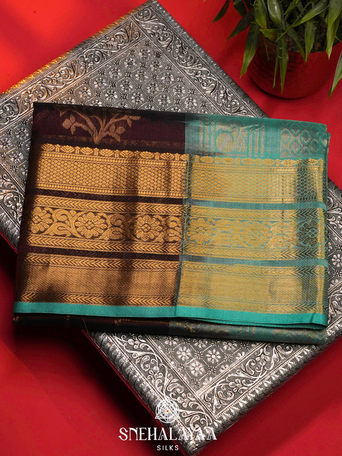 Coffee Brown Kanchi Silk Cotton Saree