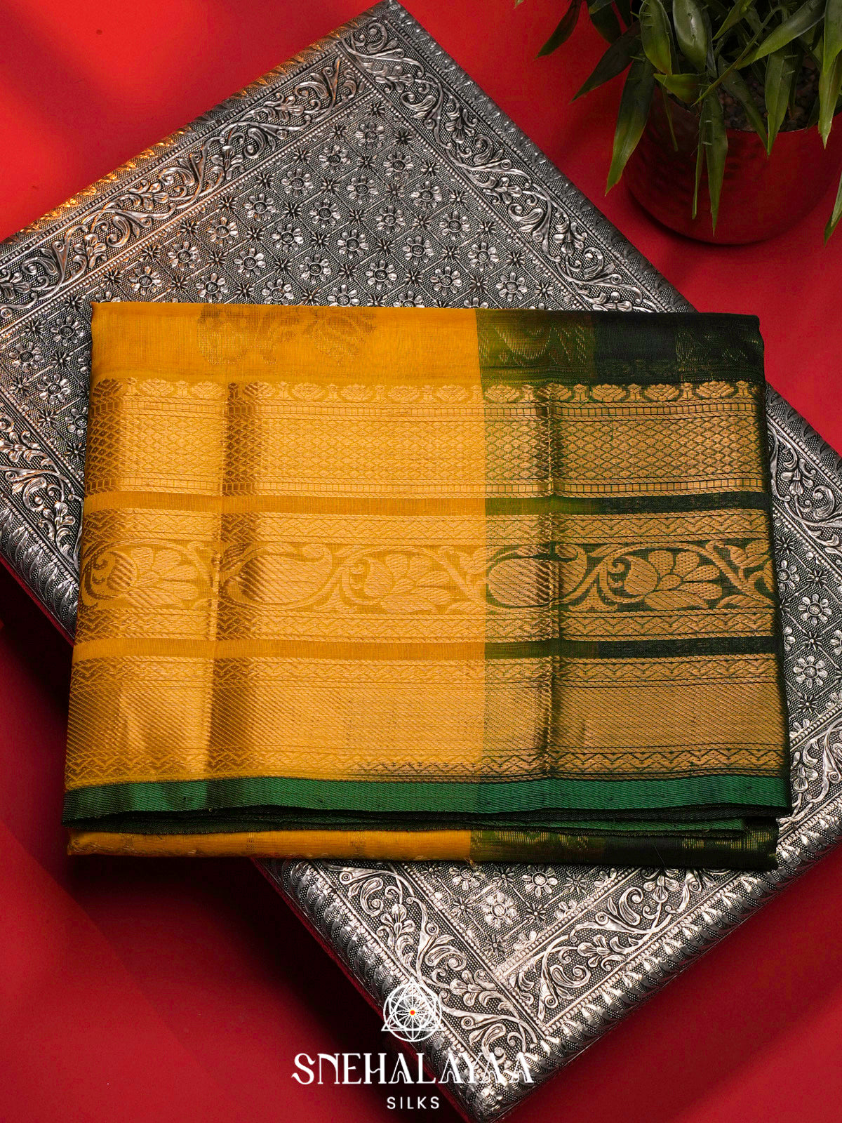 Mango Yellow Kanchi Silk Cotton Saree