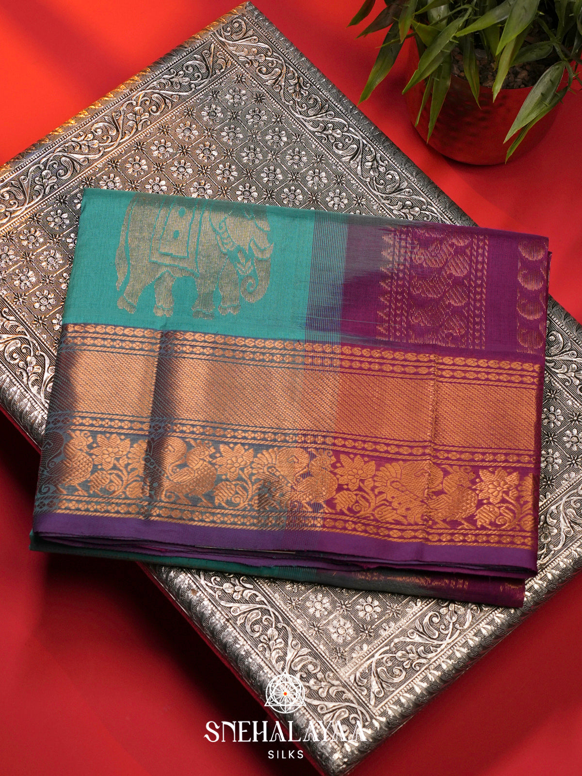 Turquoise Silk Cotton Saree with Purple Zari Border