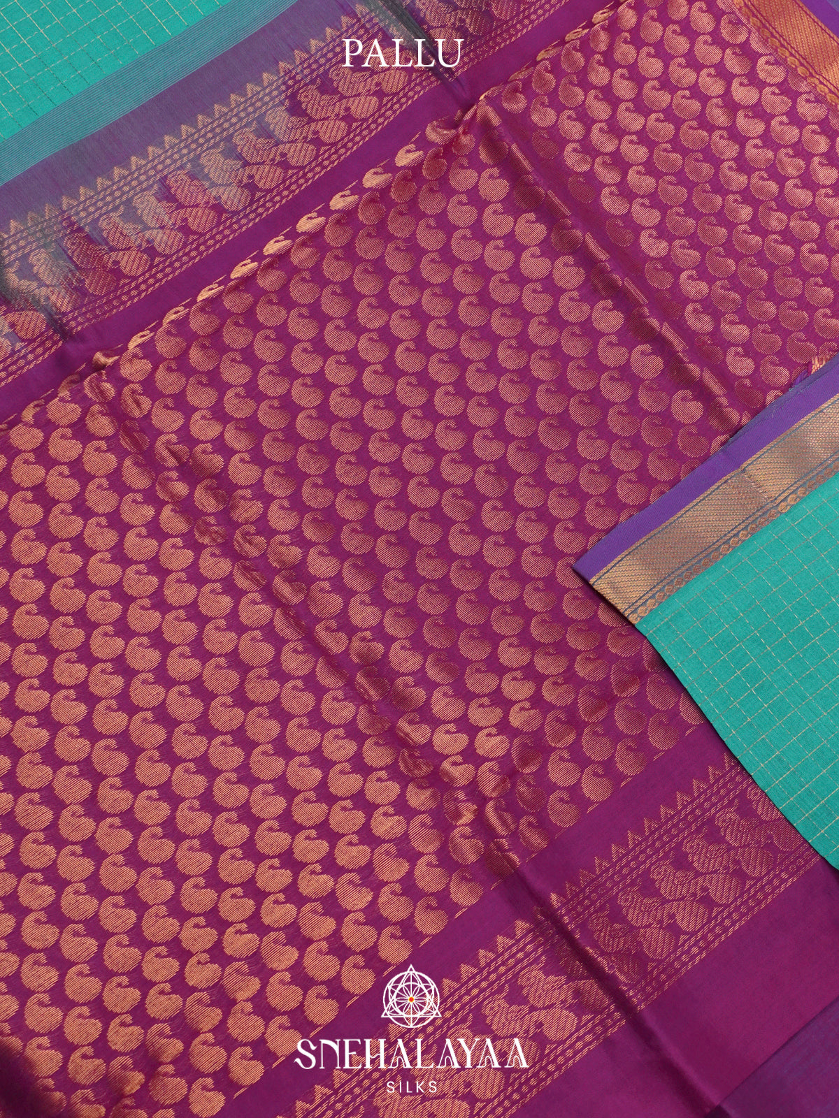 Turquoise Silk Cotton Saree with Purple Zari Border