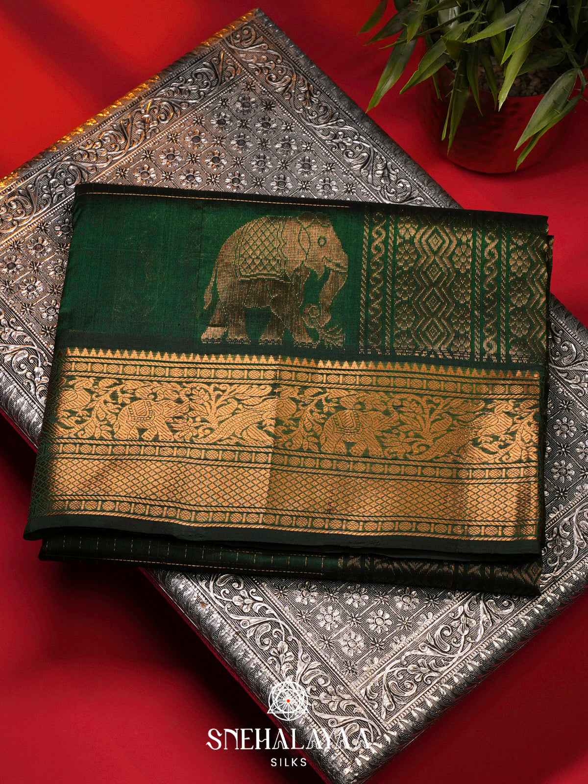 Bottle Green Silk Cotton Saree with Zari Border