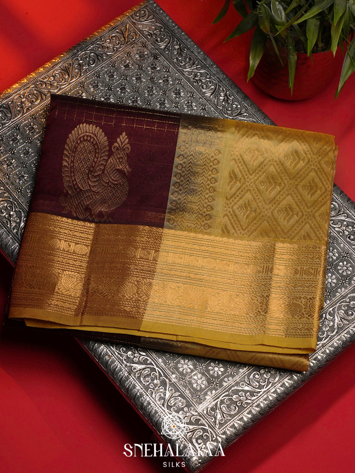 Brown Kanchi Silk Cotton Saree