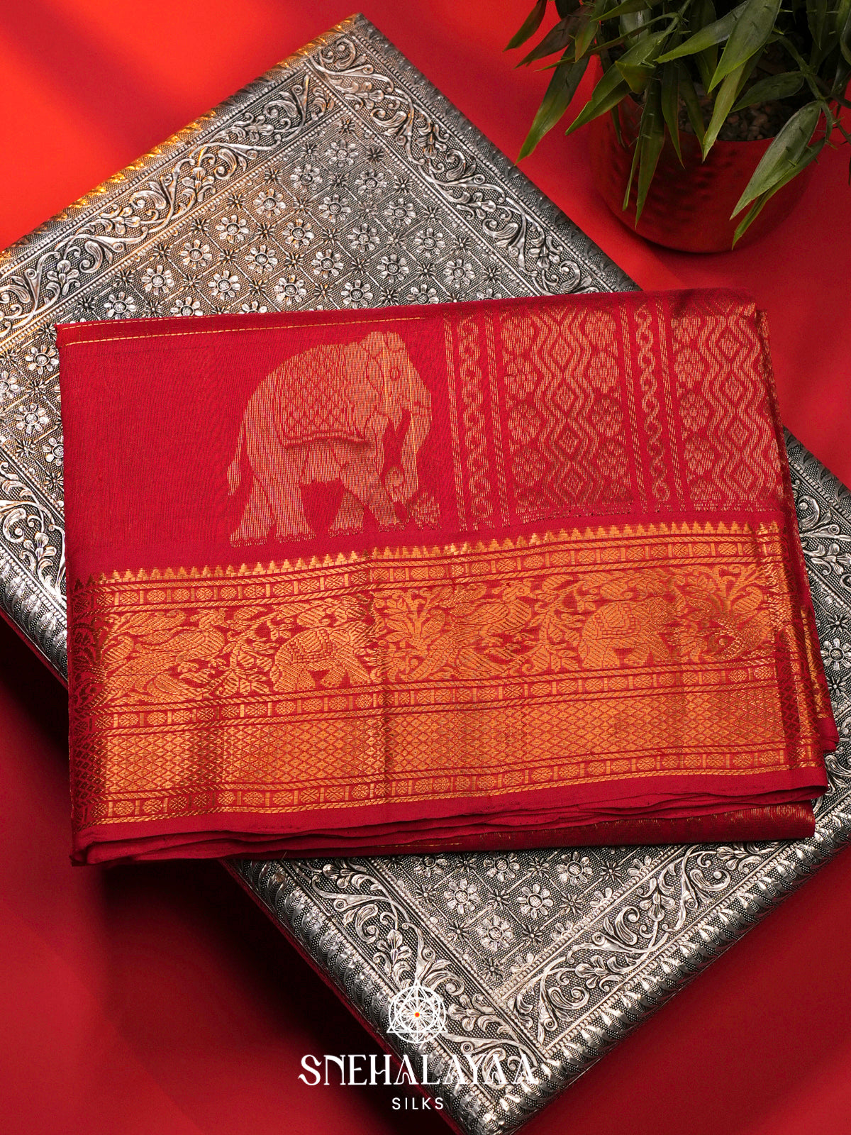 Crimson Red Silk Cotton Saree with Zari Border