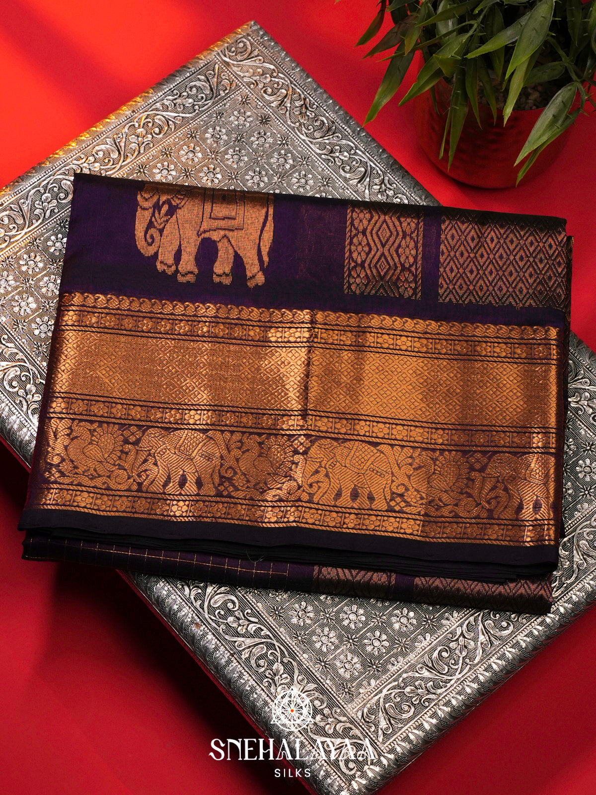 Royal Purple Silk Cotton Saree with Zari Border