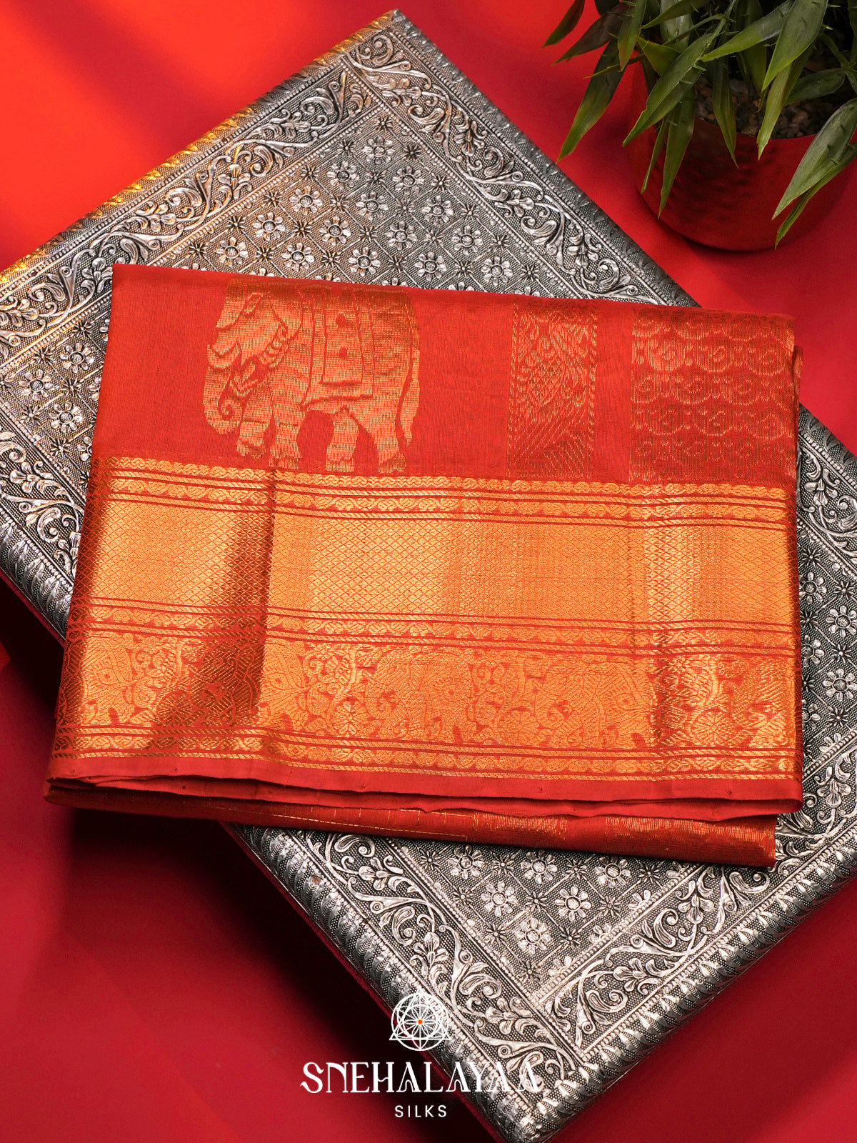 Coral Orange Silk Cotton Saree with Zari Border