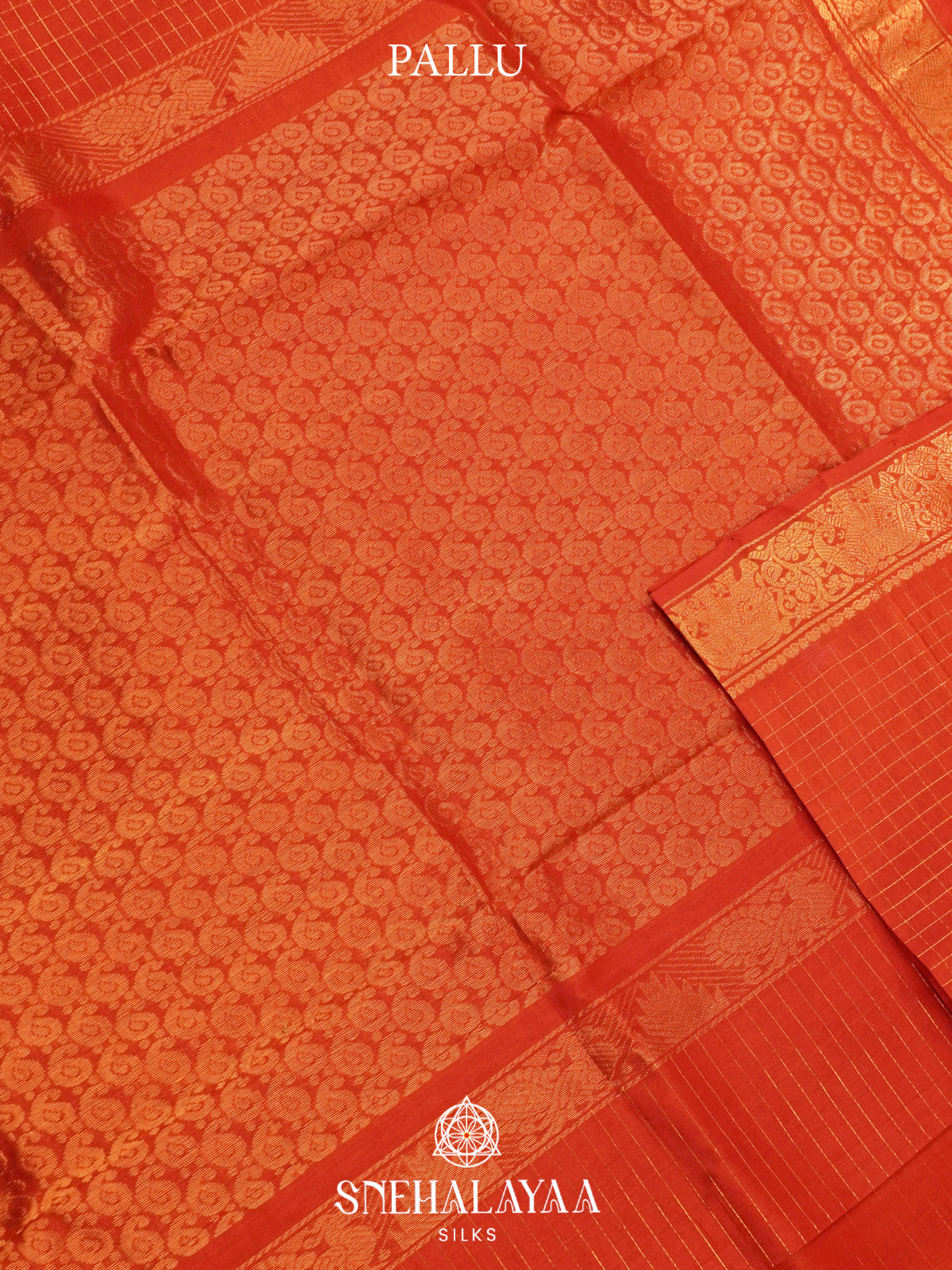 Coral Orange Silk Cotton Saree with Zari Border