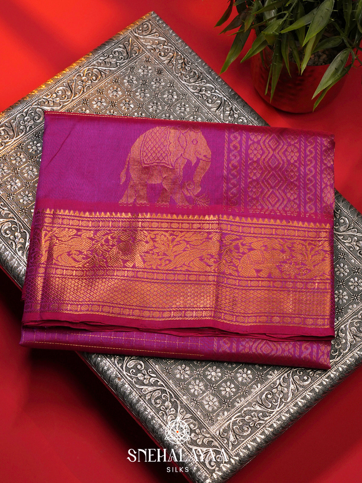 Magenta Pink Silk Cotton Saree with Zari Border