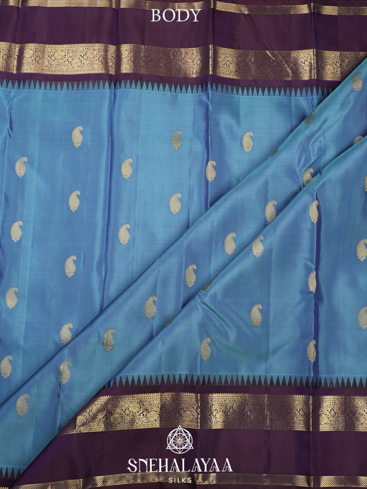 Aqua Blue Kanjivaram Silk Saree