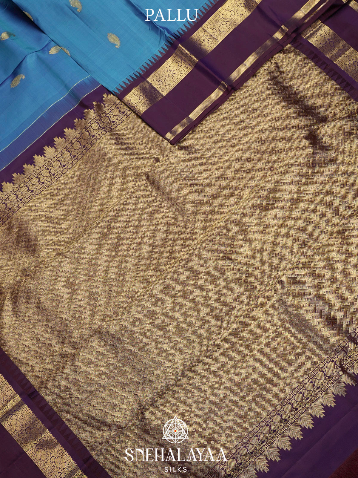 Aqua Blue Kanjivaram Silk Saree