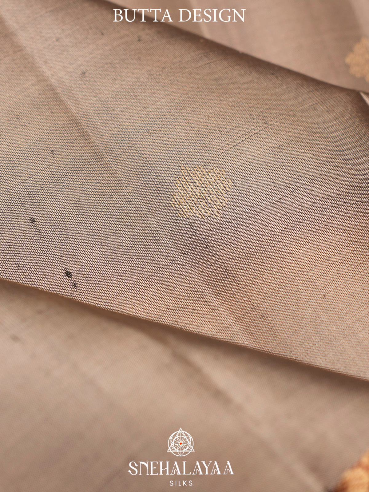 Beige Kanjivaram Silk Saree