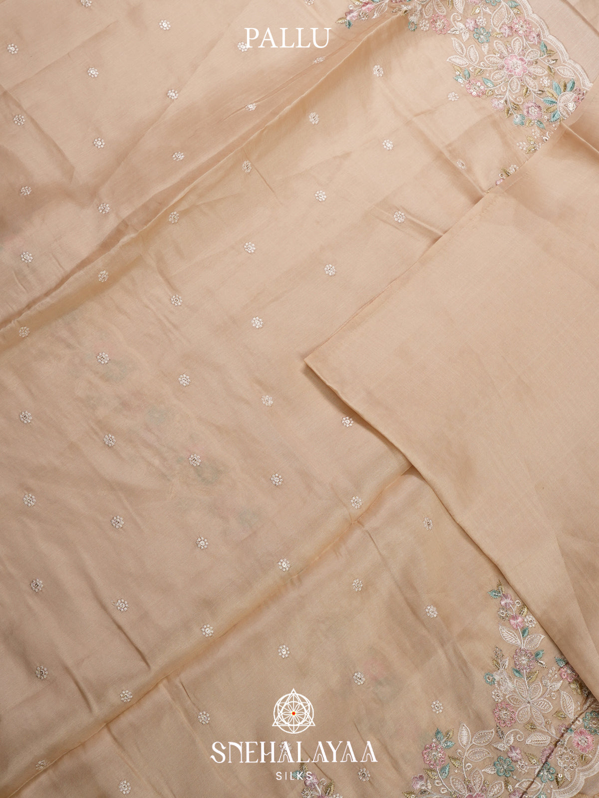 Cream Raw Silk Saree