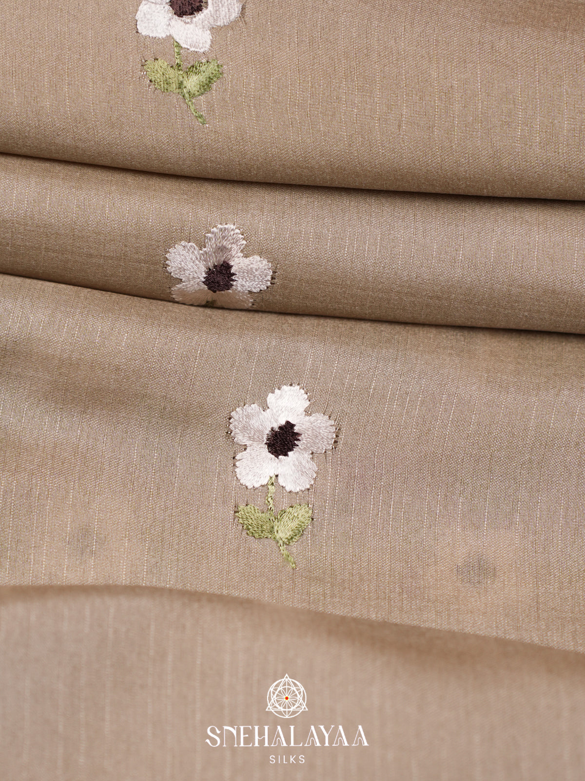 Beige Raw Silk Saree