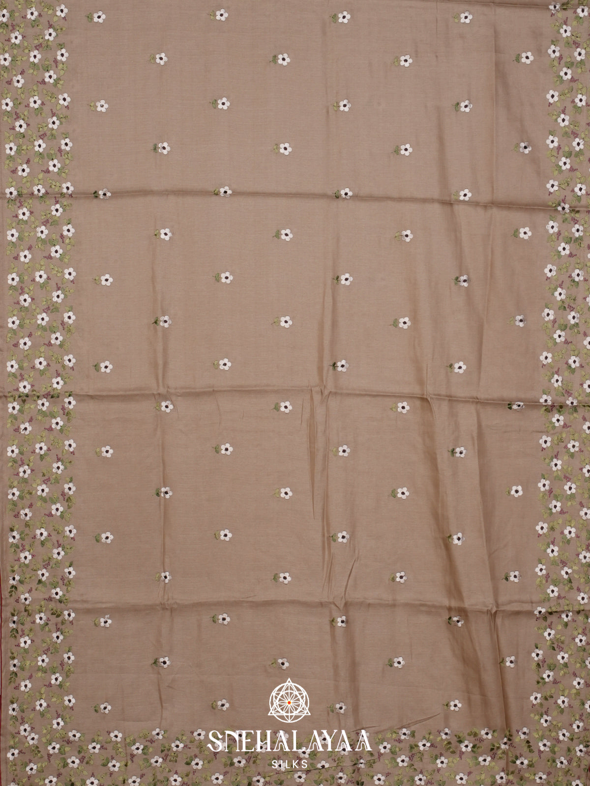 Beige Raw Silk Saree