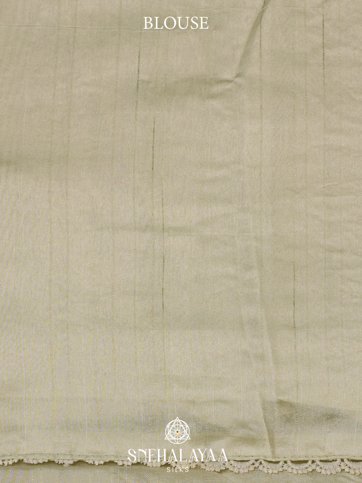 Pale Green Raw Silk Saree