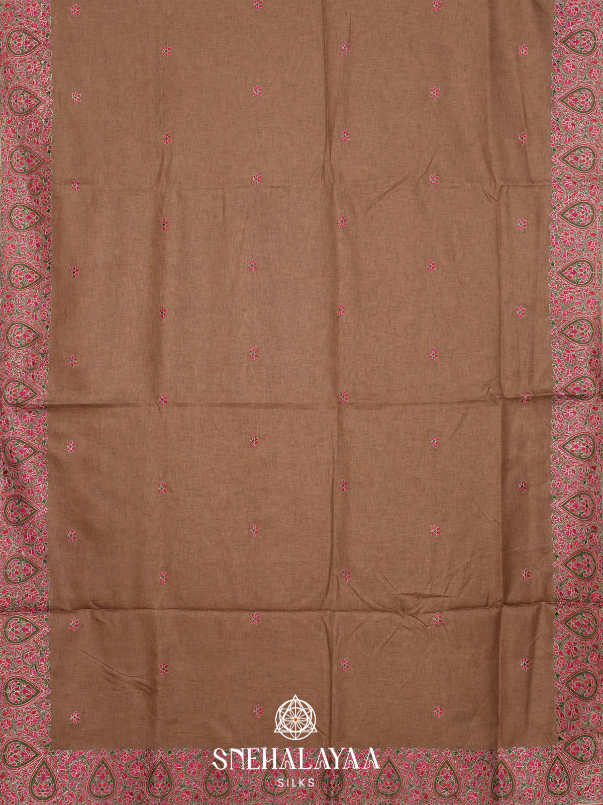 Pale Brown Tussar Saree