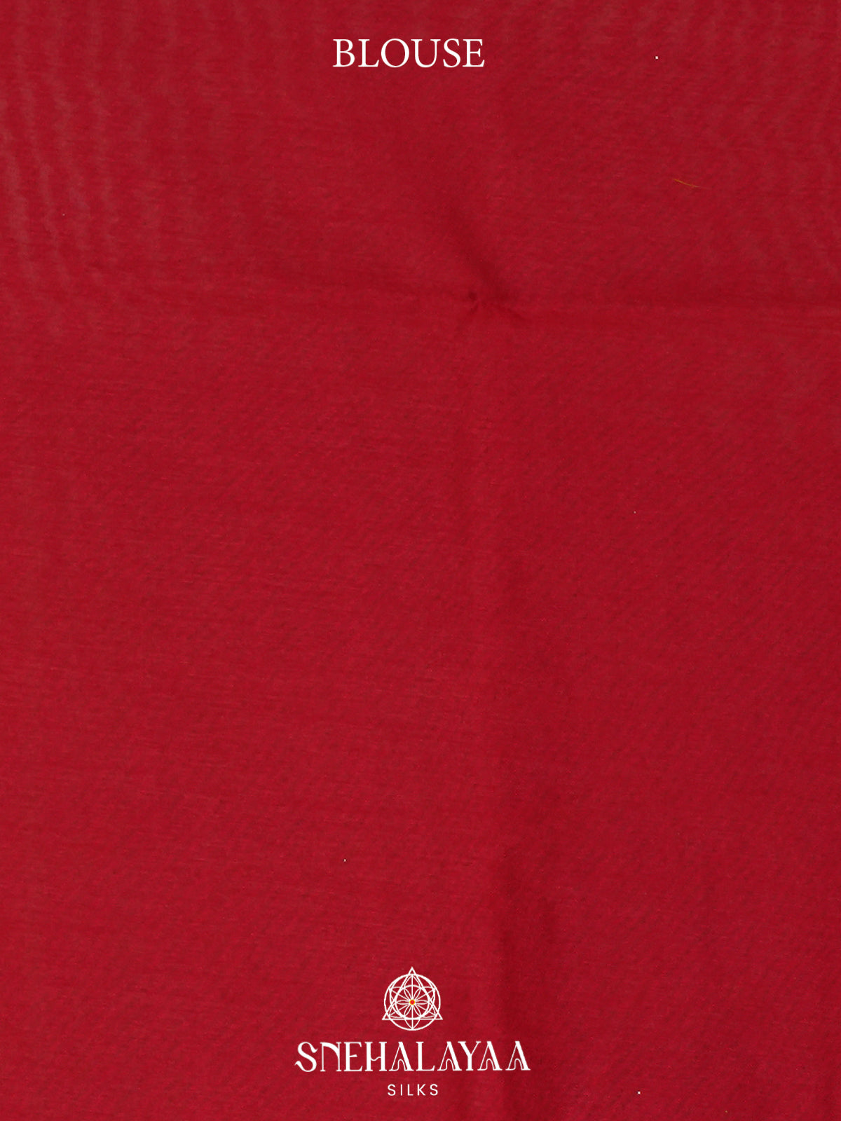 Beige Tussar Saree
