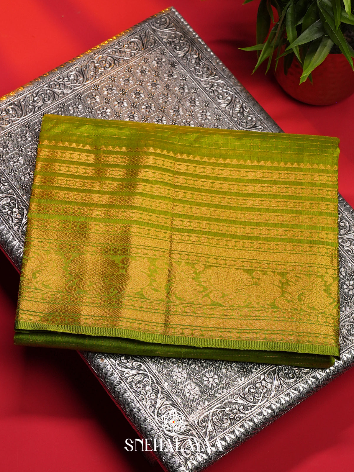 Pistachio Green Mangalagiri Silk Cotton Saree