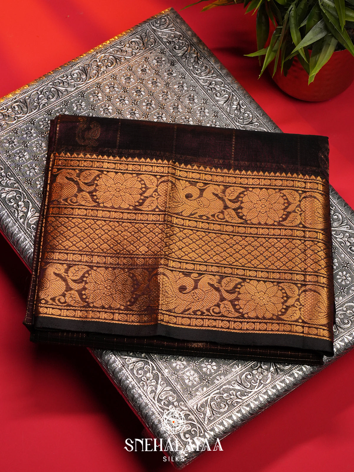 Coffee Brown Mangalagiri Silk Cotton Saree