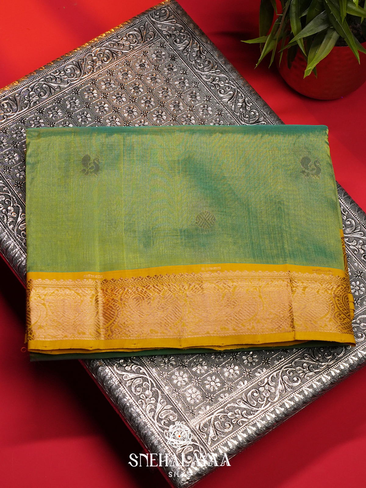 Sage Green Mangalagiri Silk Cotton Saree