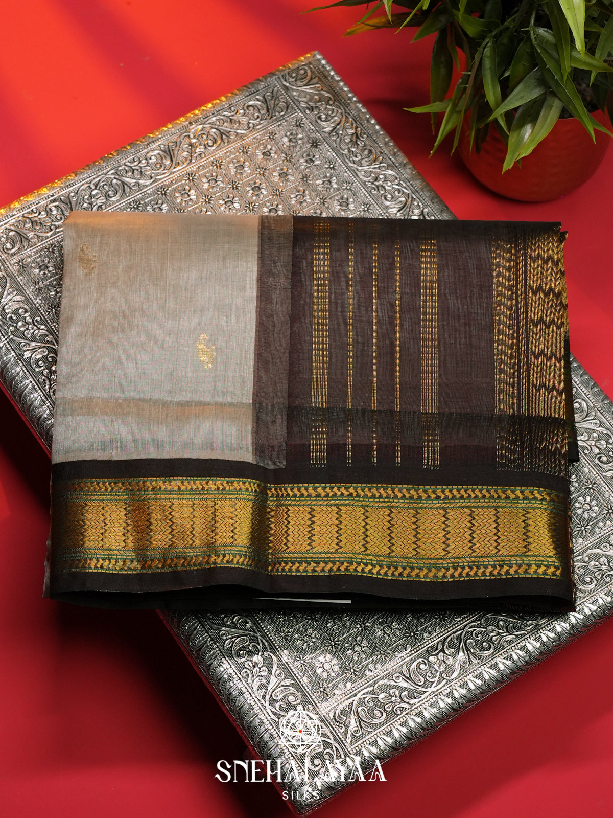 Beige Kanchi Silk Cotton Saree