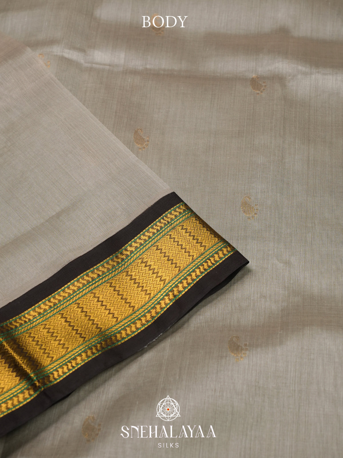 Beige Kanchi Silk Cotton Saree
