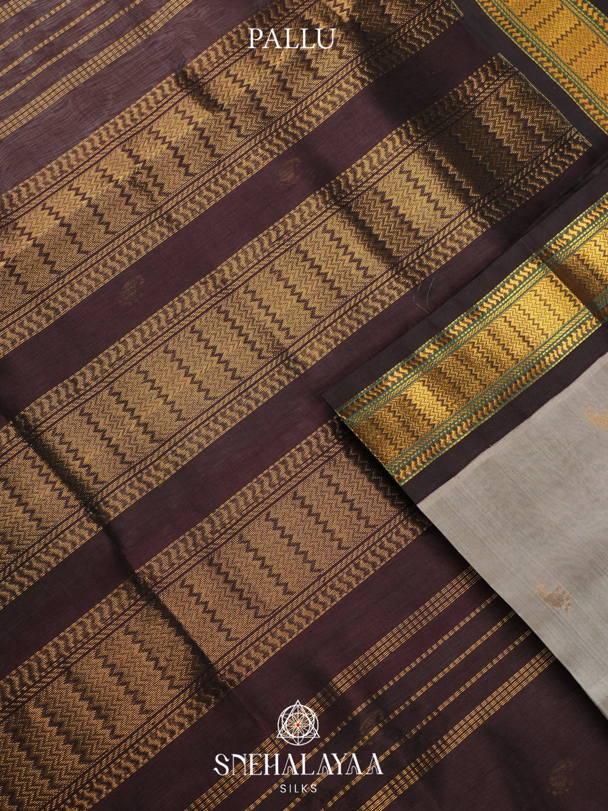Beige Kanchi Silk Cotton Saree