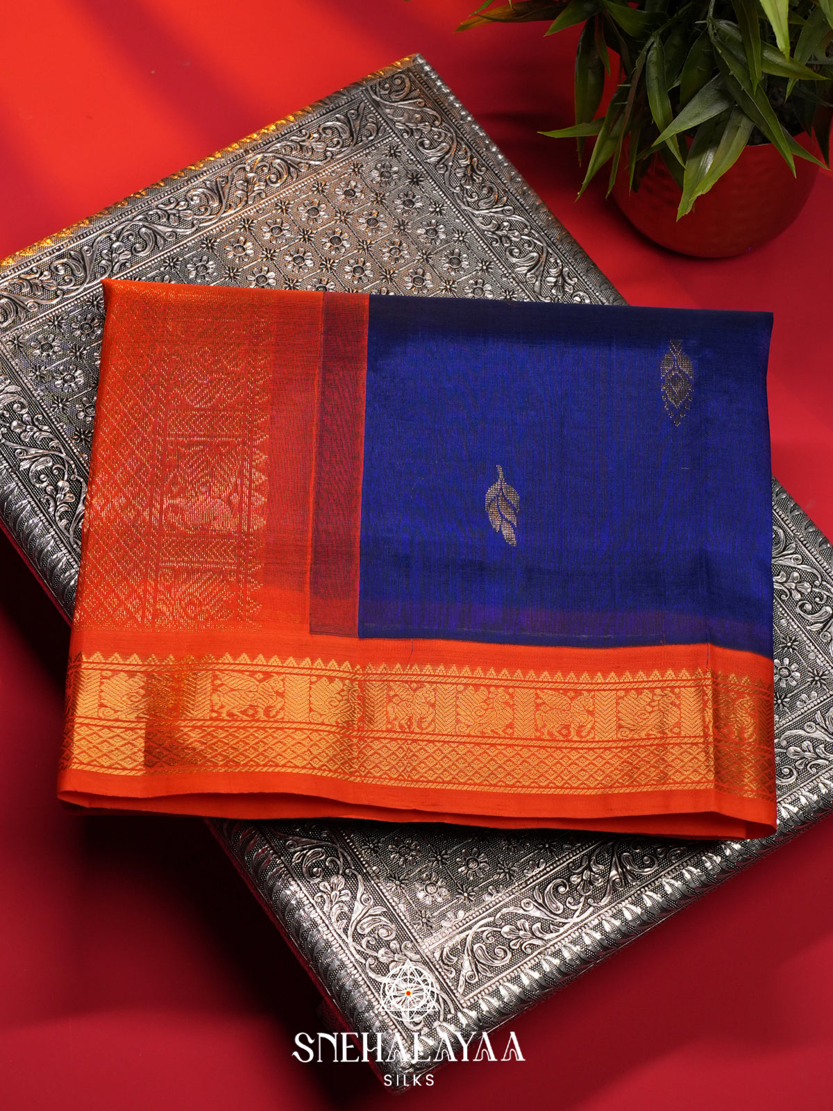 Navy Blue Kanchi Silk Cotton Saree