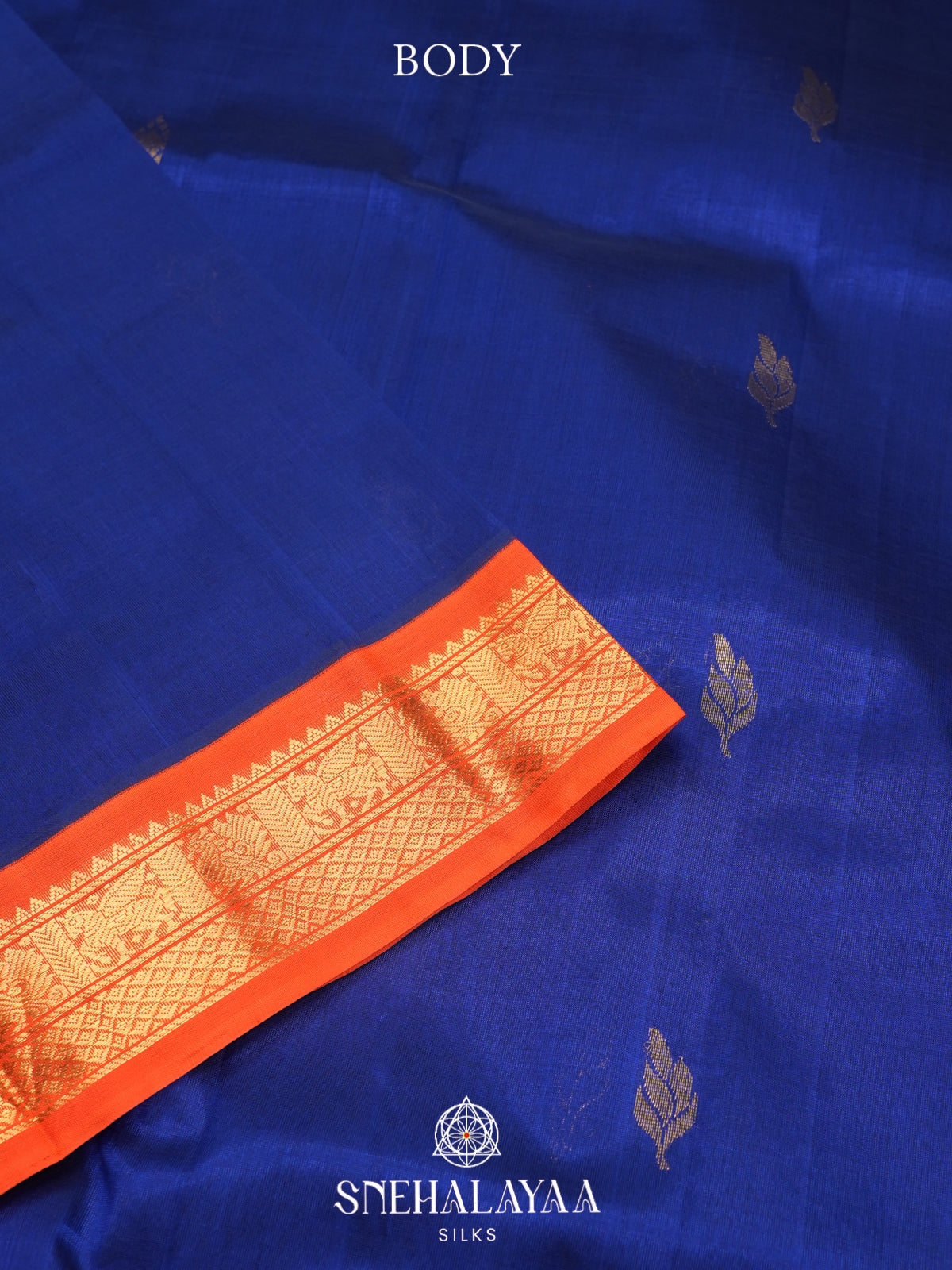 Navy Blue Kanchi Silk Cotton Saree