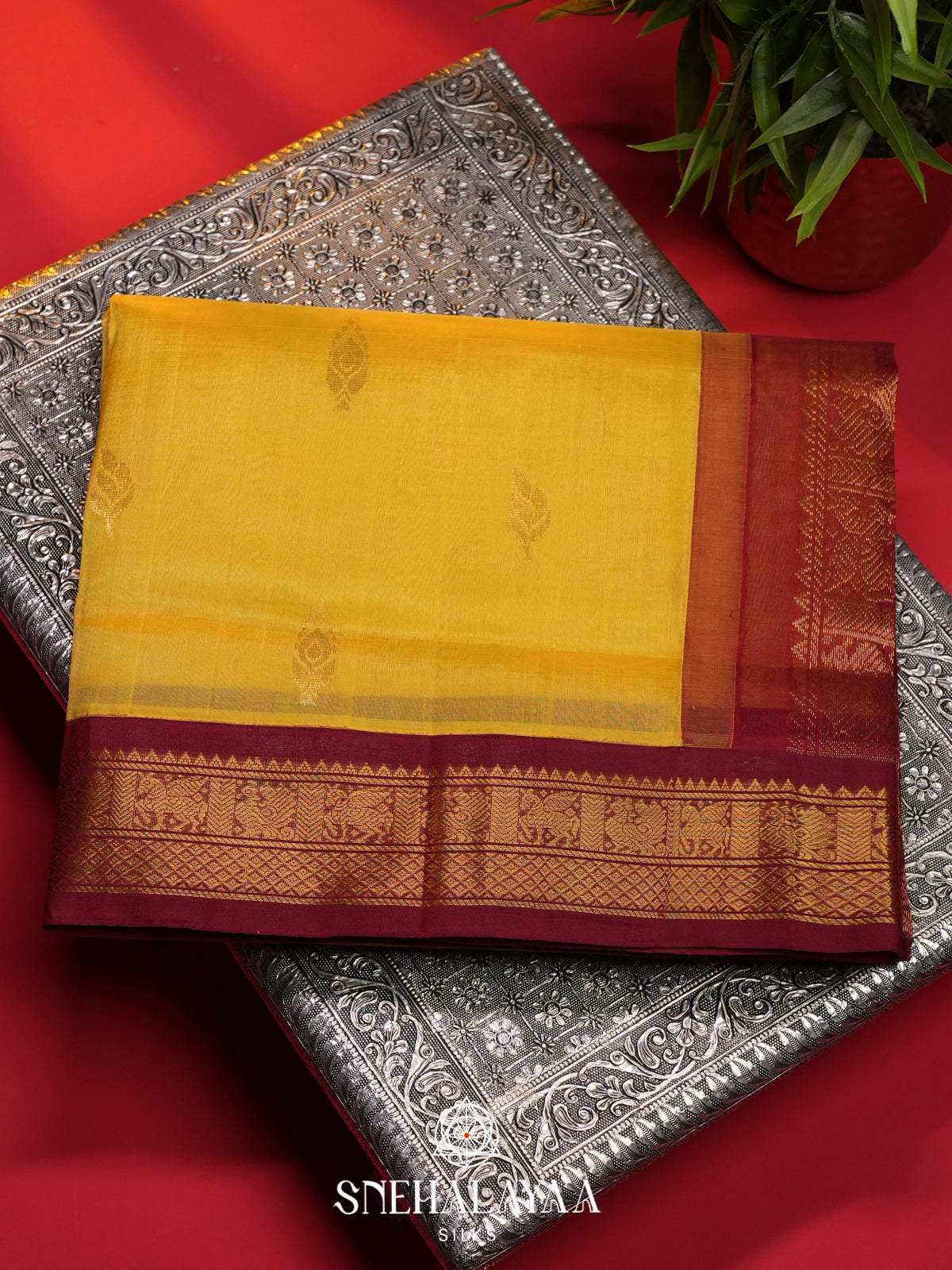 Mango Yellow Kanchi Silk Cotton Saree